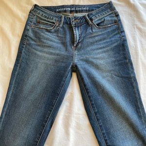 Articles of Society Medium Wash Skinny Jeans